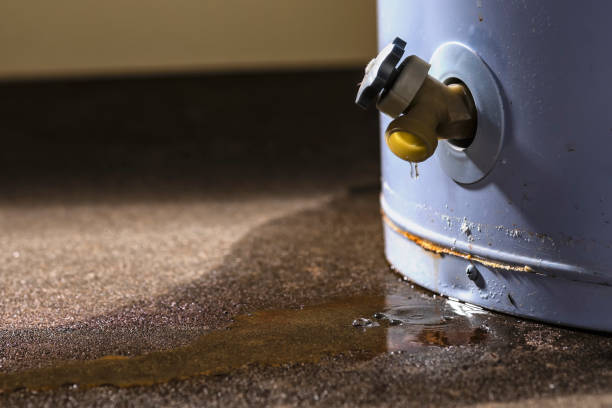 Best Water damage restoration specialists  in Martinsville, NJ