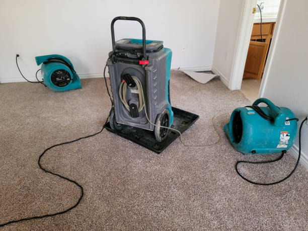 Best Water damage contractors near me  in Martinsville, NJ