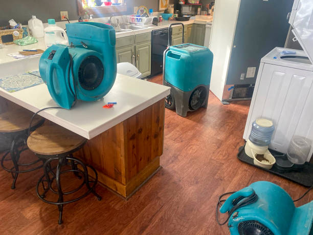 Best Commercial water damage restoration  in Martinsville, NJ
