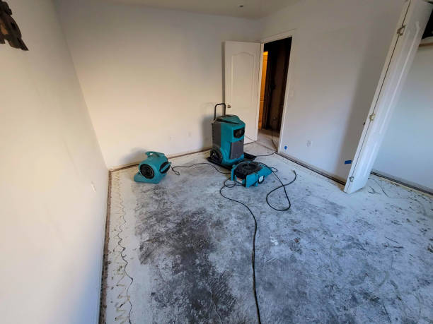 Best Flooded house restoration  in Martinsville, NJ