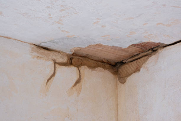 Best Sewage cleanup and water damage restoration  in Martinsville, NJ