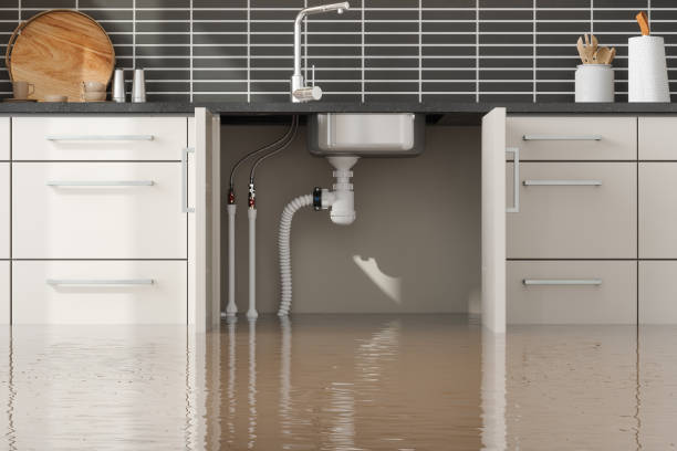 Best 24/7 water damage repair  in Martinsville, NJ